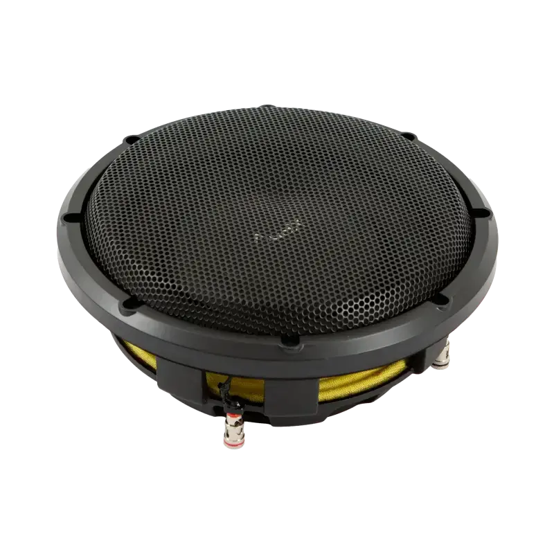 10″ Shallow Mount Dual 4Ω (4Ω+4Ω) Voice Coil Subwoofer | Asw10d4 1