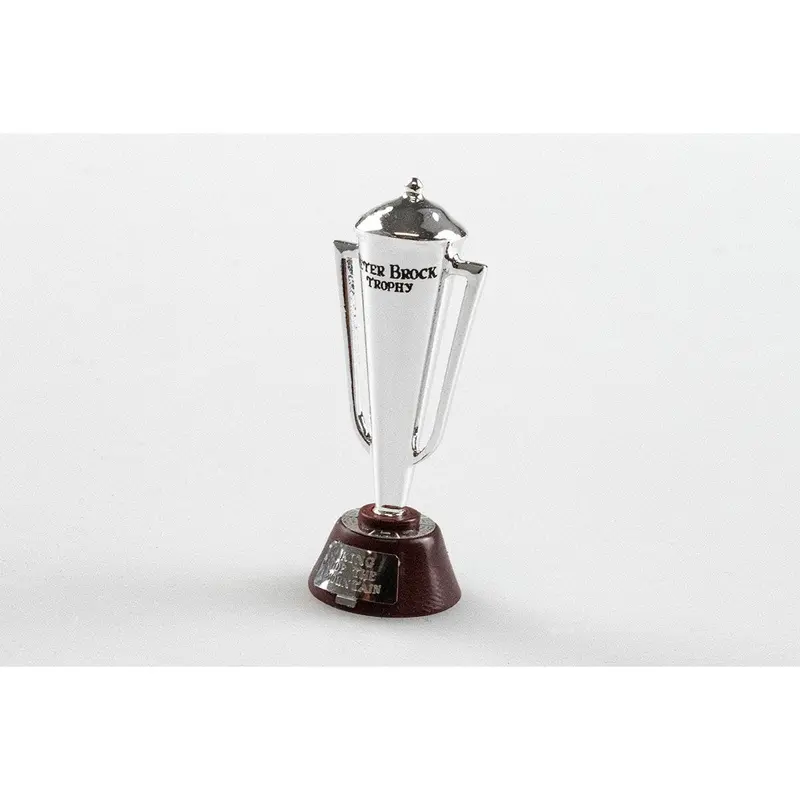 1:18 Peter Brock Trophy -- Bathurst 1000 Winner -- Biante 1