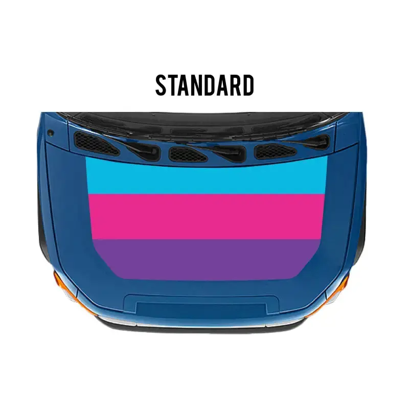 2007-14 Checkered Stripe Kit For Fj Cruiser 34