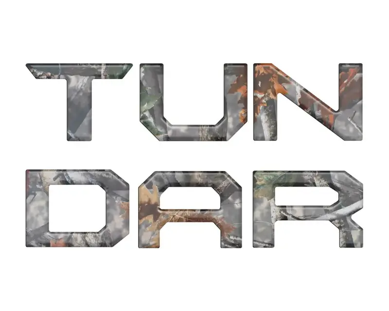 2014–2021 Toyota Tundra Tailgate Letter Insert Kit