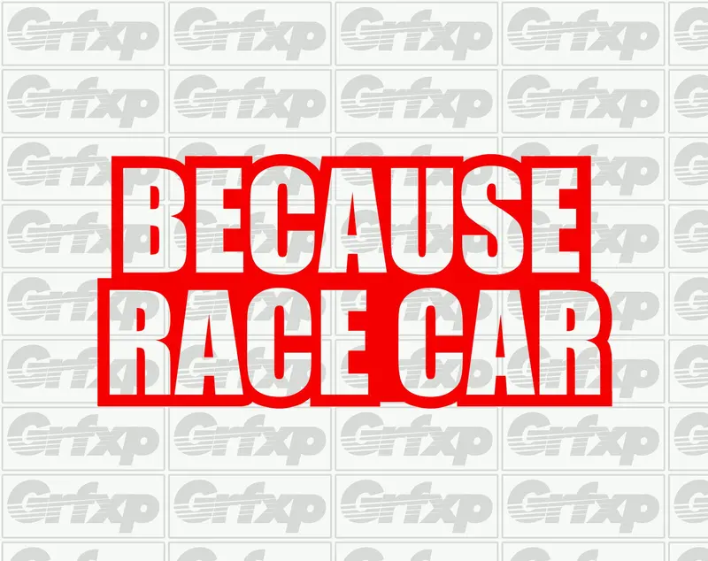 Because Racecar Sticker 1