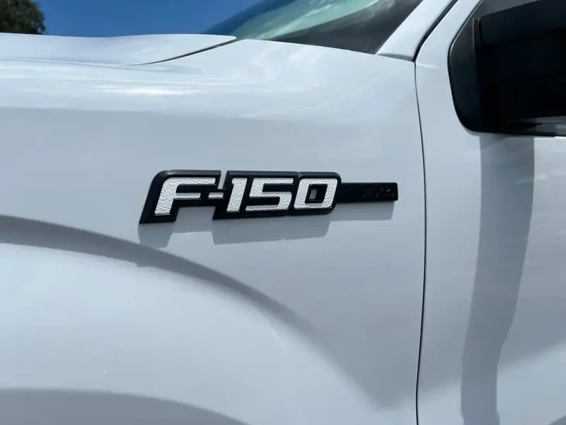 F-150 Emblem Inserts Fits 2009-2014 Ford F-150 1