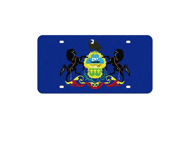 Front License Plate 19