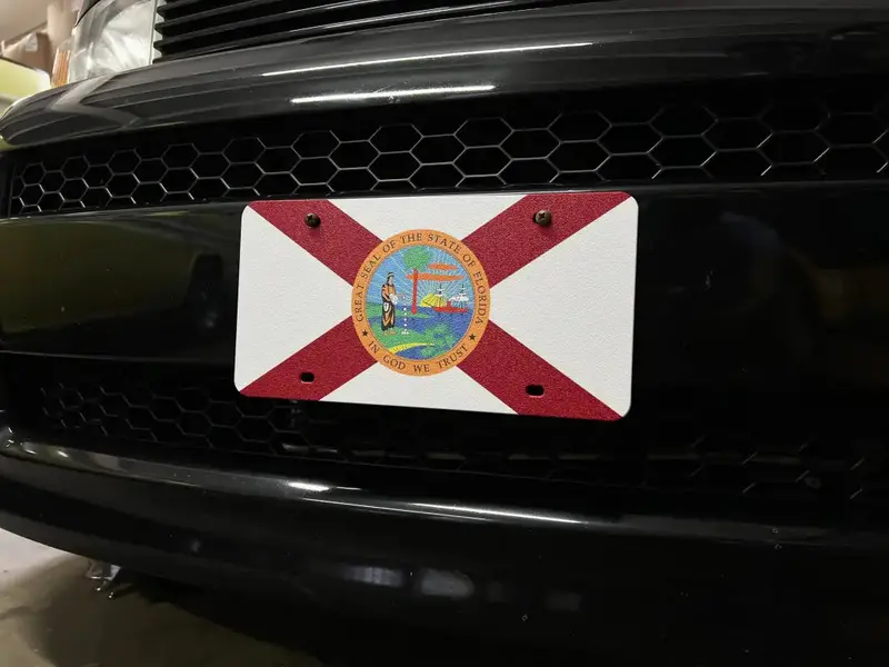 Front License Plate 4