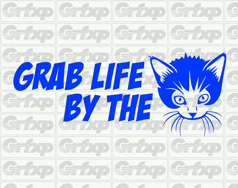Grab Life By The P*Ssy Sticker 1