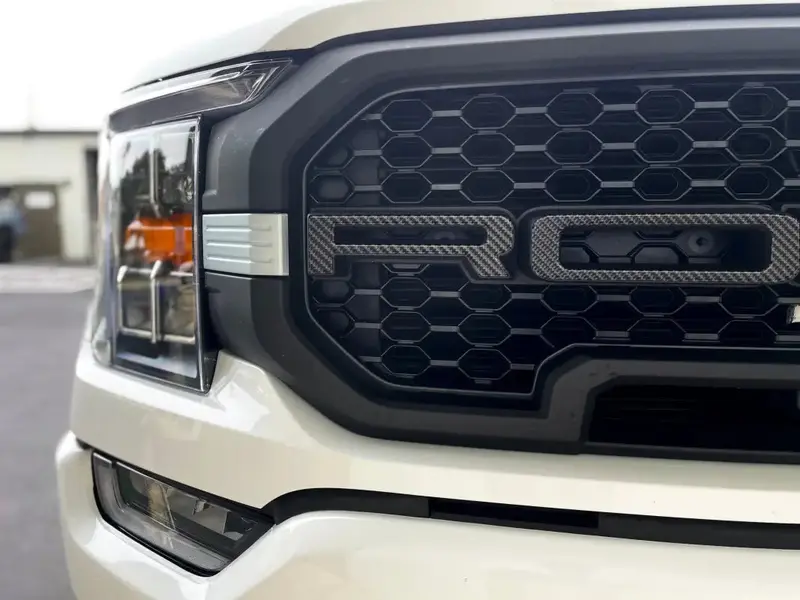Grille Letter Inserts for Multiple Ford F-150 Generations (2015–2022)