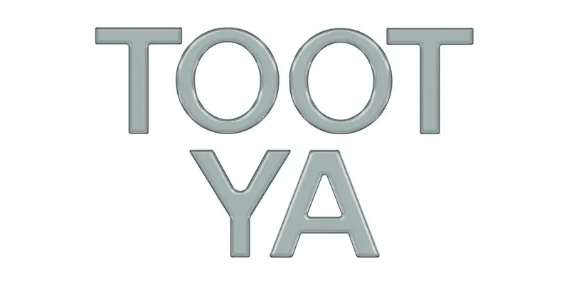 Grille Letter Overlays Fits 2016-2026 Toyota Tacoma 1