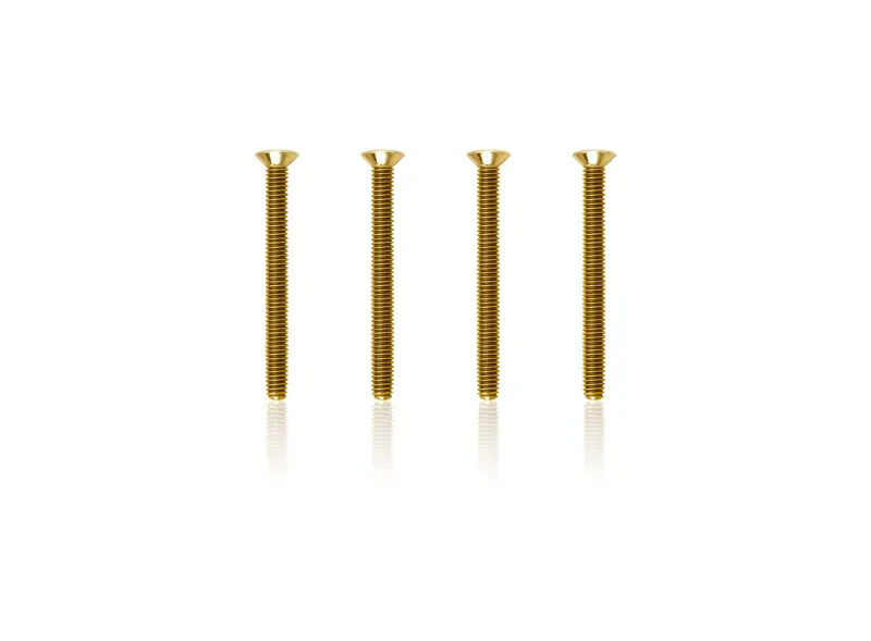 Gss-330C	   3Mmx30mm  Gold Plated Steel Hex. Countersink Screws（4Pcs.） 1