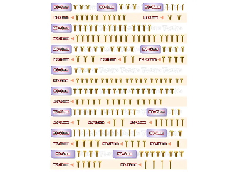Gss-X3gts'23	  Gold Plated Steel Screw Set 204Pcs. ( For Hong Nor X3 Gts 2023 ) 1