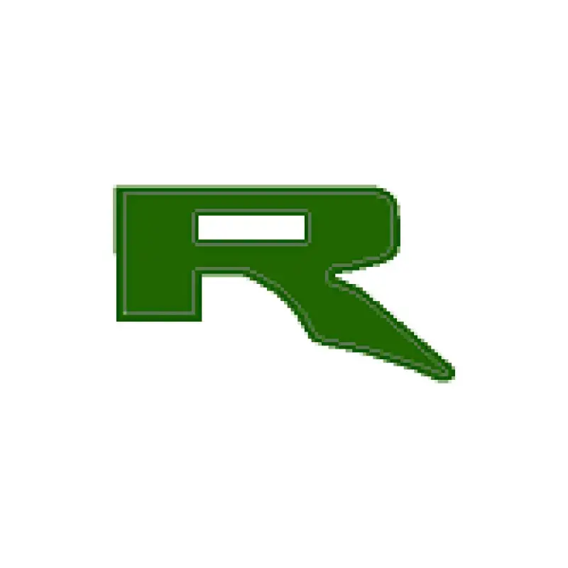 R Inlay Hood Emblems For 2022+ Bronco Raptor 12