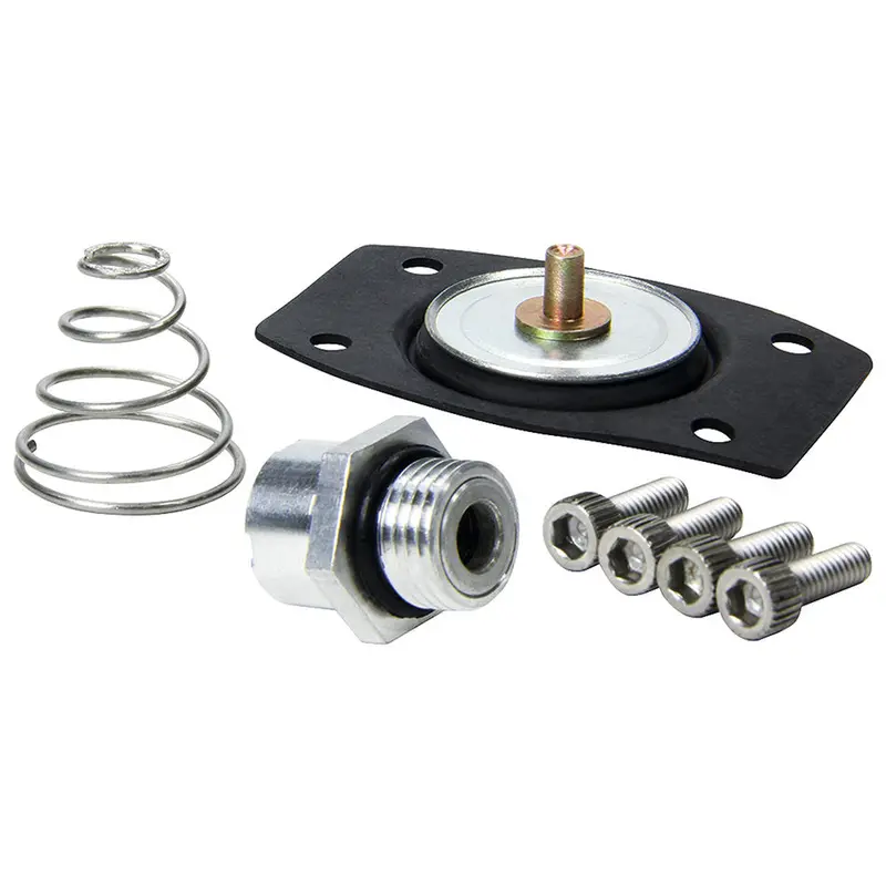 Allstar Performance 99430 Rebuild Kit For All40290 1
